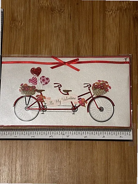 Papyrus Greeting Card Valentine Valentine's Day Note Bicycle for 2 Bike Basket